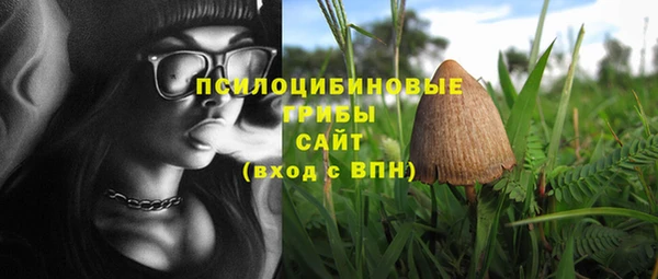 дживик Баксан
