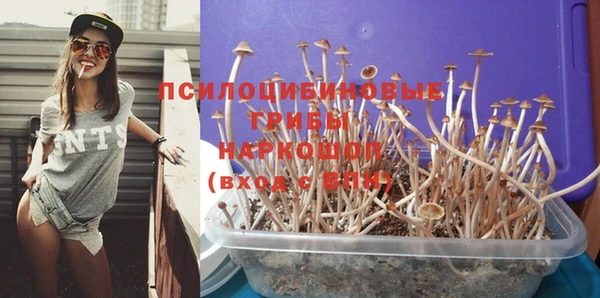 дживик Баксан