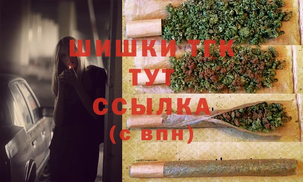 дживик Баксан
