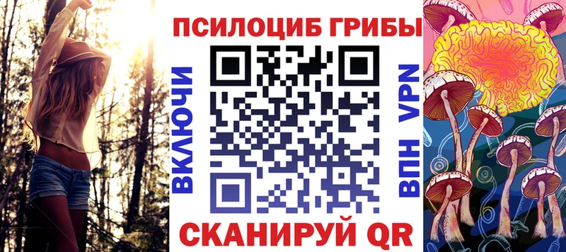 Галлюциногенные грибы MAGIC MUSHROOMS  Петровск-Забайкальский 