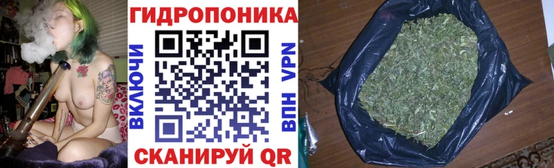 Бошки Шишки марихуана  Петровск-Забайкальский 